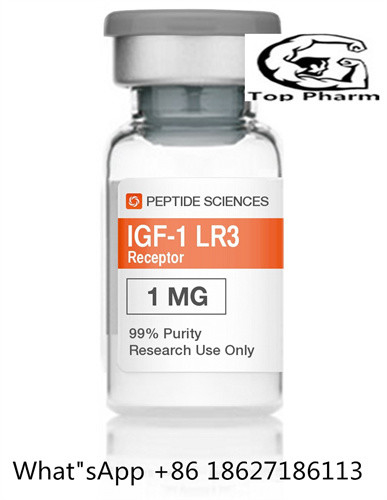 IGF-1 LR3 CAS 170851-70 Lyophilized Powder Increase Lean Muscle Mass For Bodybuilding