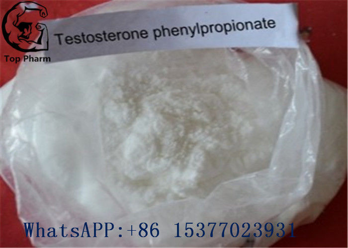 Testosterone Phenylpropionate Raw Testosterone Powder Test Pp CAS 1255-49-8 White powder