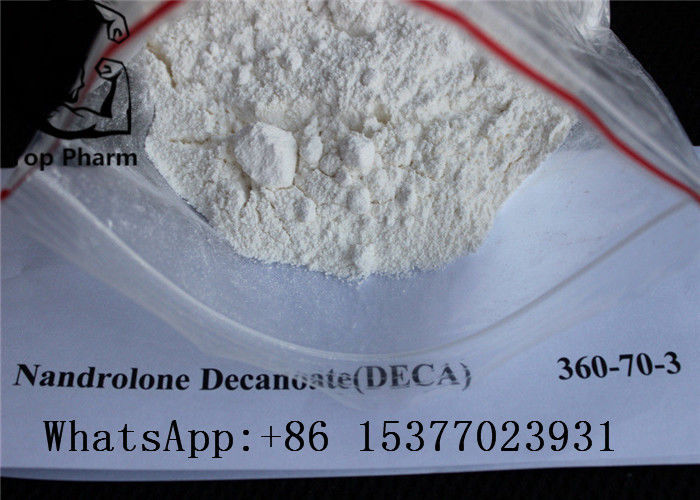 White Powder Deca Nandrolone Decanoate CAS 360-70-3 For Fitness Muscle Gaining