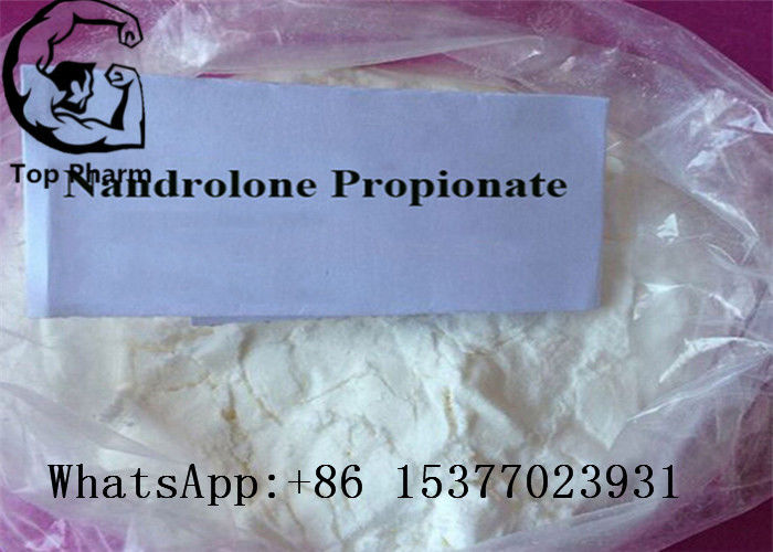 7207-92-3 Nandrolone Steroid Powder Nandrolone Propionate For Building Body