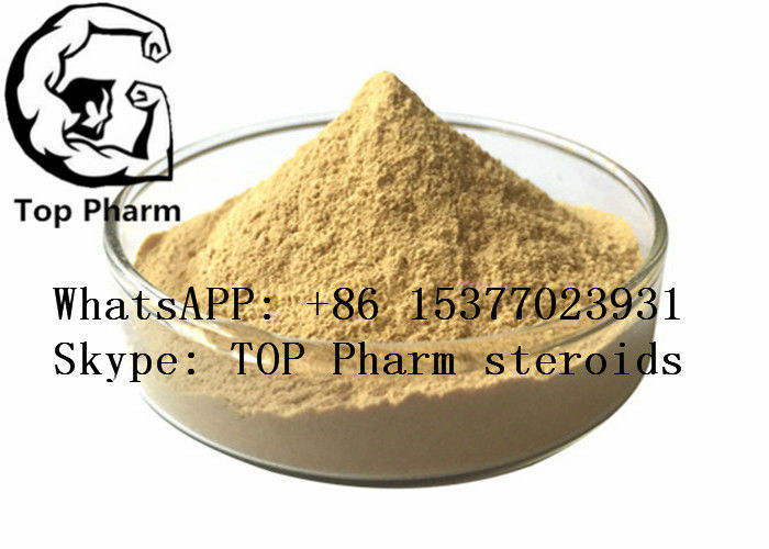 484-12-8 Male Enhancement Steroids  HCl Osthole Crystal Powder