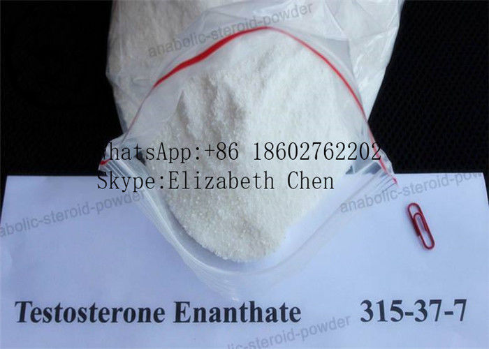 Muscle Gain Powder Testosterone Enanthate CAS 315-37-7 99% Purity  White powder
