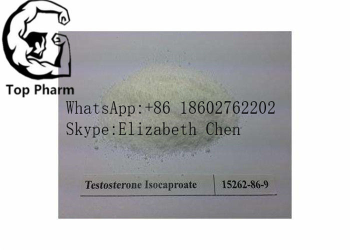 99% Pure Raw Test Powder Testosterone Isocaproate CAS 15262-86-9   whte powder bodybuilding