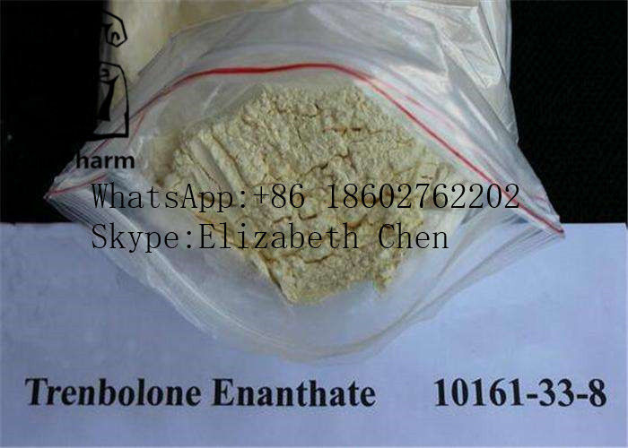 CAS 10161-33-8 Trenbolone Enanthate / Parabola Build Muscle Steroids Trenbolone Acetate Yellow Powder  99%purity