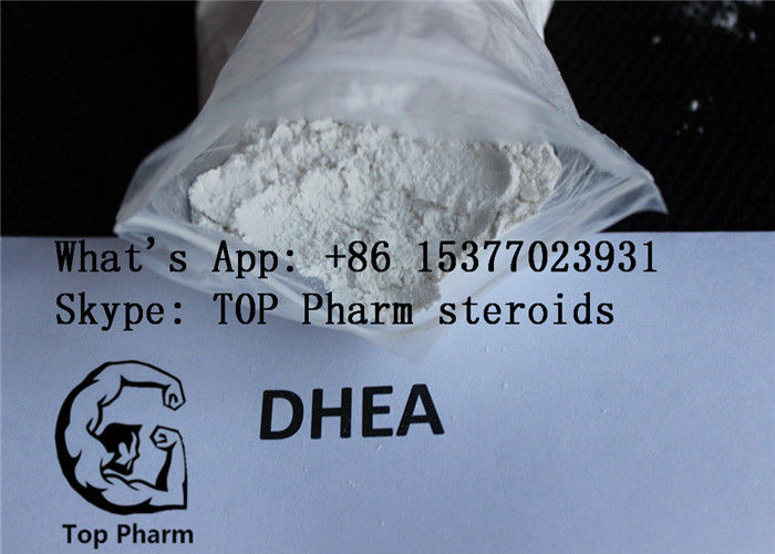 99% DHEA/Androsterone/1-Dehydroepiandrosterone  Raw Testosterone Powder  CAS 53-41-8  Body building
