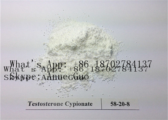 CAS 58-20-8 Testosterone Cypionate Powder Muscle Gain C27H40O3