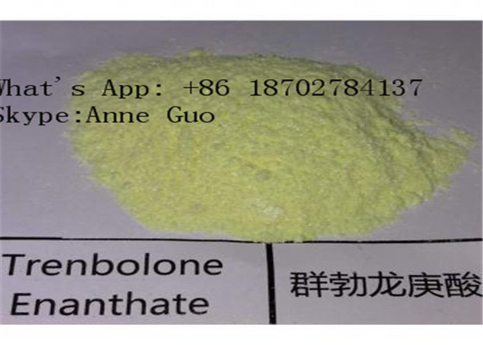 99% Purity Trenbolone Enanthate Parabola CAS 10161-33-8 Steroid Hormone Yellow Crystalline Powder