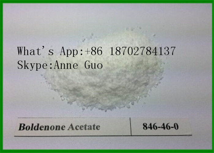 Boldenone Acetate Powder C22H30O3 CAS 2363-59-9 Effective For Building Body