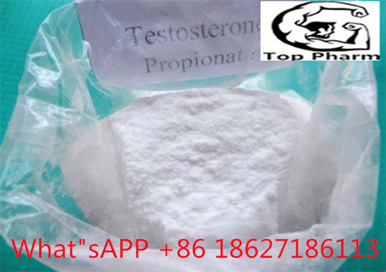 Testosterone Propionate CAS NO.:198319-26-7 White Powder  raw materials of pharmaceutical products