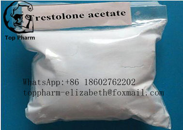 Trestolone Acetate / MENT CAS 6157-87-5 Bodybuilding And Sex Enhancement 99%  purity  White Power
