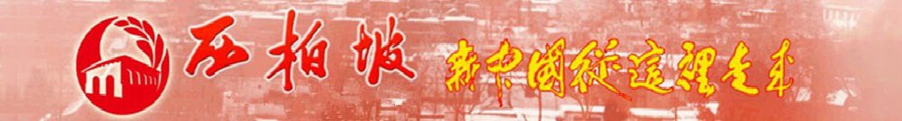公开信息按发布时间滚动
